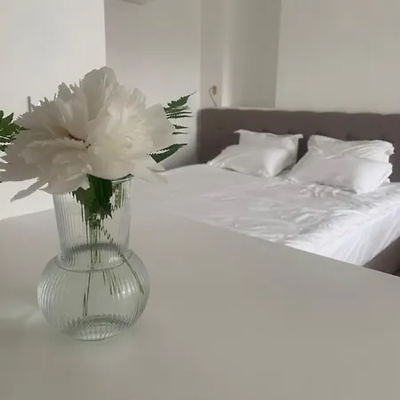 La Rose Du Cedre Frühstückspension